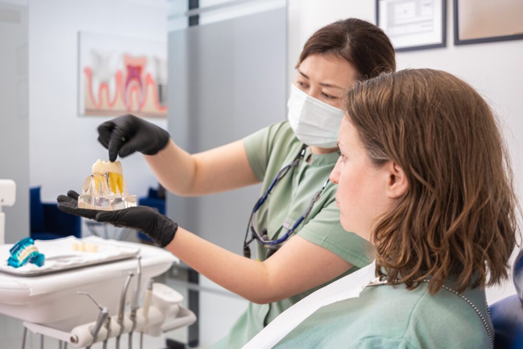Un profesional dental mostrando un modelo de dientes con implantes a una paciente, destacando la adaptabilidad de los implantes dentales en un entorno moderno de clínica odontológica.